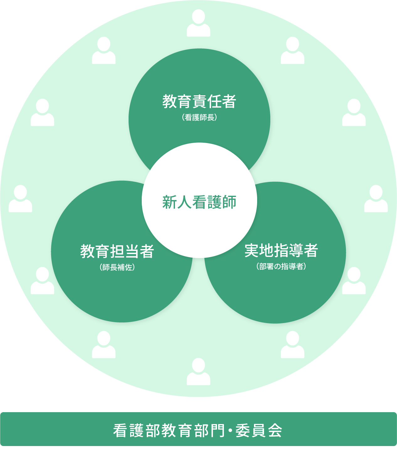 全体像