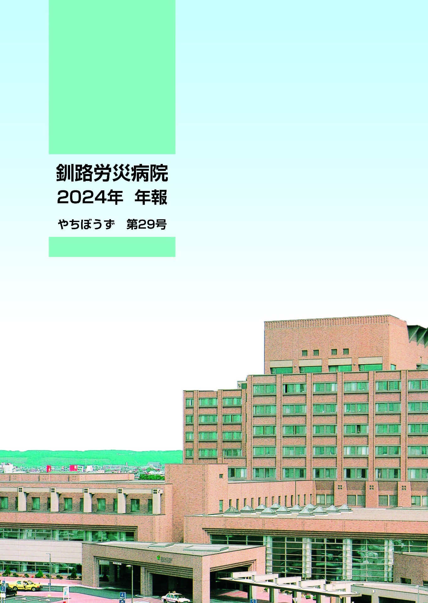 やちぼうず第29号
