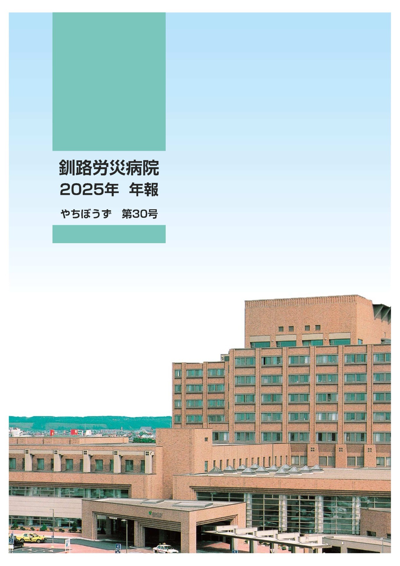 やちぼうず第30号  2025年 年報 